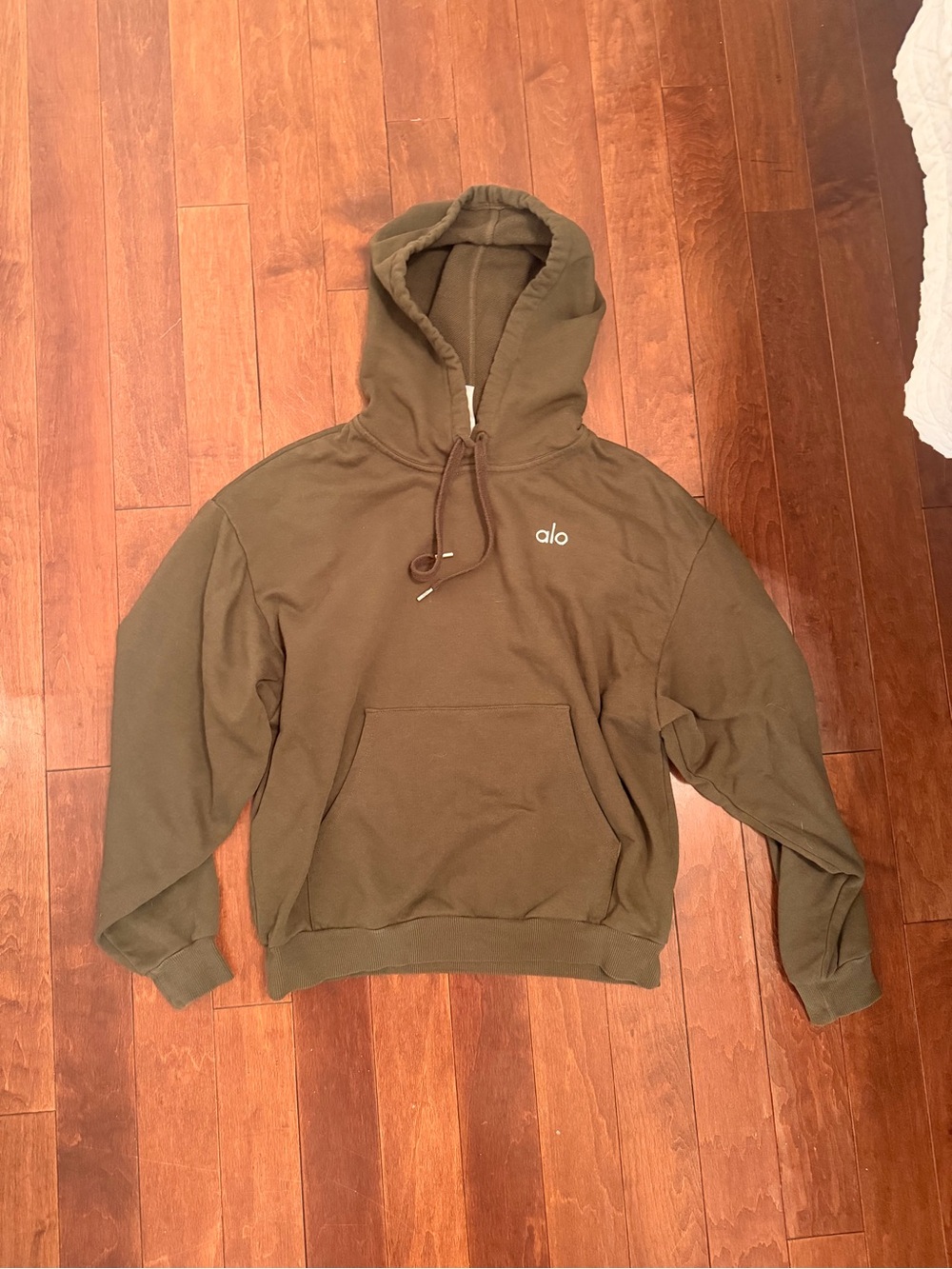 ALO Accolade Hoodie